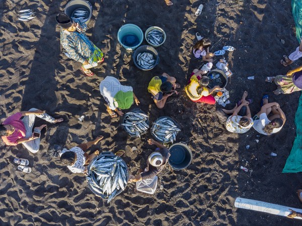 Fishermen unload their catch from their outrigger boat in the morning. Amed, Karangasem, Bali, Indonesia, Asia