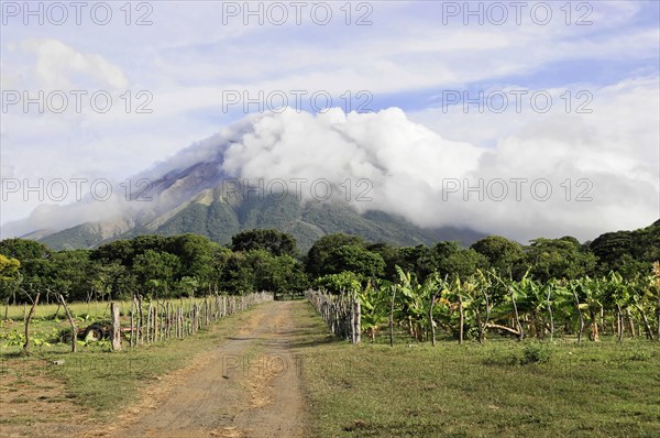 The island of Ometepe, Nicaragua, A lush green path against the backdrop of a partly cloud-covered volcano, Central America, Central America