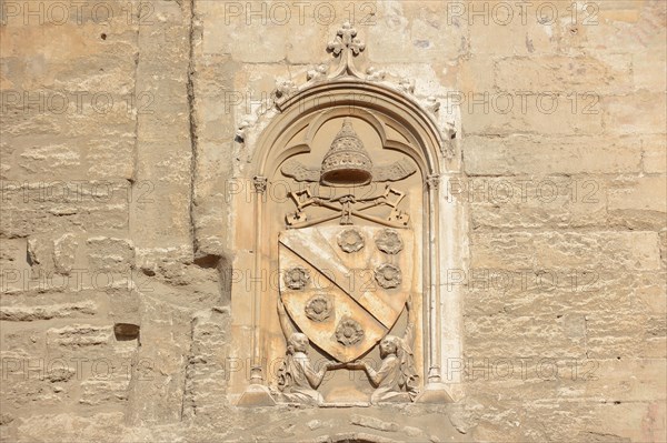 Coat of arms on the papal palace, Avignon, Vaucluse, Provence-Alpes-Cote d'Azur, South of France, France, Europe