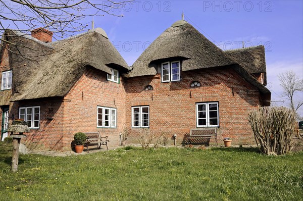 Traditional thatched house with brick walls on a sunny spring day, Sylt, North Frisian Island, Schleswig Holstein, Germany, Europe