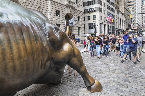 Tourists taking pictures in front of the bronze statue of the Charging Bull, Wall Street, Manhattan, New York City, New York, USA, New York City, New York, USA, North America