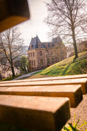 Picturesque view of a historic building behind trees on a hill, spring, Calw, Black Forest, Germany, Europe