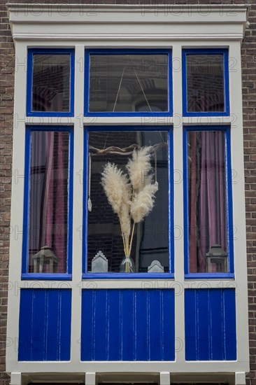 Decorated window, flowers, sparse, design, dutch, decoration, decorated, house, facade, architecture, living, home, property, nobody, sight, room, style, lifestyle, furnishing, blue, colour, wooden window, varnished, Deventer, Netherlands