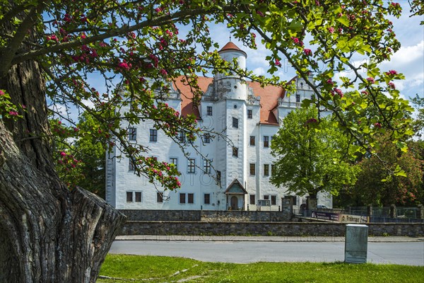 Schoenfeld Castle, also known as Germany's Magic Castle, a Renaissance castle in the Schoenfeld highlands near Dresden, Saxony, Germany, Europe