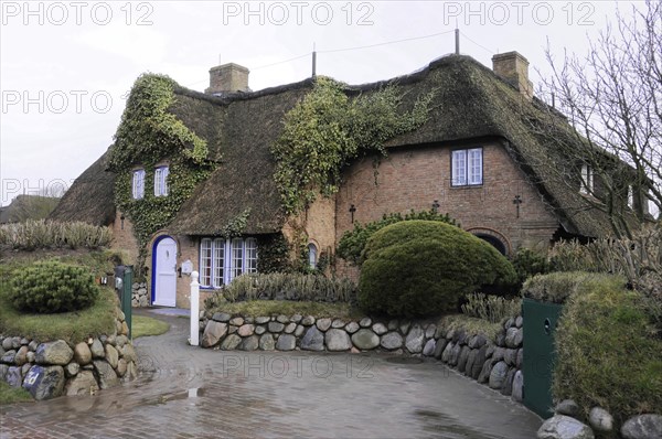 Sylt, North Frisian Island, Schleswig Holstein, A thatched-roof house overgrown with plants and a brick entrance, Sylt, North Frisian Island, Schleswig Holstein, Germany, Europe