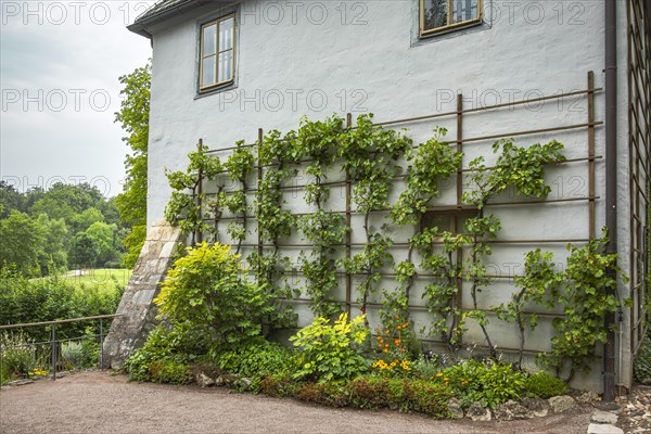 Goethe's Garden House in the Park on the Ilm, part of the UNESCO World Heritage Site in Weimar, Thuringia, Germany, since 1998, state 13 August 2020, Europe