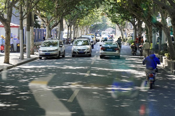 Traffic in Shanghai, Shanghai Shi, A group of vehicles, including cars and motorbikes, on a tree-lined street, Shanghai, People's Republic of China