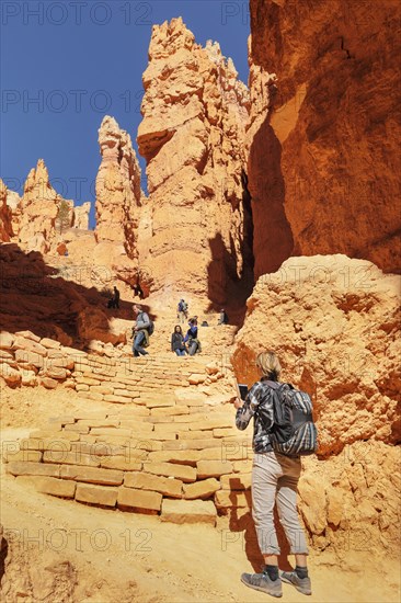 Queen's Garden Trail, Bryce Canyon, Bryce Canyon National Park, Colorado Plateau, Utah, United States, USA, Bryce Canyon, Utah, USA, North America
