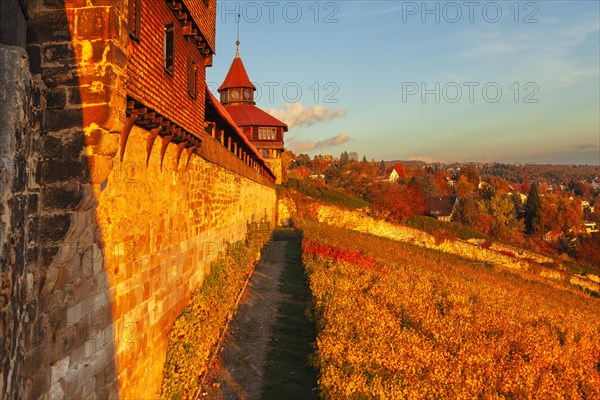 Esslinger Burg, Esslingen am Neckar, Baden-Wuerttemberg, Germany, Esslingen, Baden-Wuerttemberg, Germany, Europe