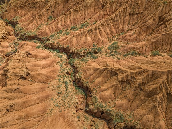 Top down view, gorge with eroded red sandstone rocks, Konorchek Canyon, Boom Gorge, aerial view, Kyrgyzstan, Asia
