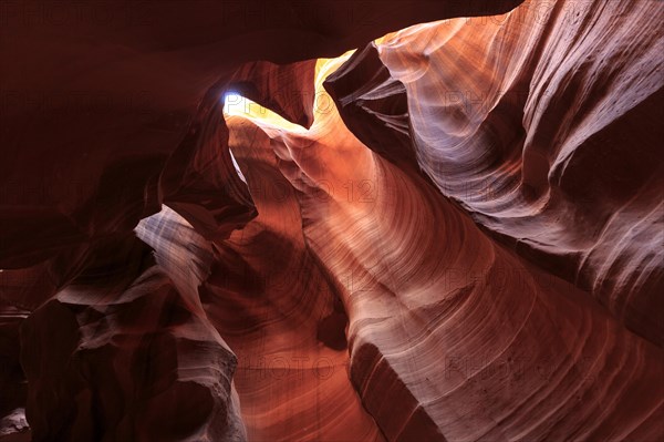 Light and shadow play on the curved, water-sculpted Convolvulus of a canyon, Upper Antelope Canyon, North America, USA, South-West, Arizona, North America