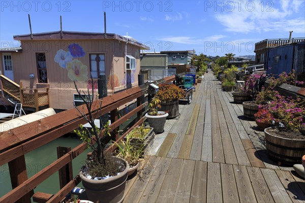 A wooden walkway leads along colourful floating houses surrounded by potted plants, San Francisco, North America, USA, South-West, California, California, North America