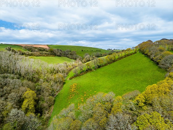 Forest, Farms and Farms over Long Wood and River Dart from a drone, Dartmouth, Kingswear, Devon, England, United Kingdom, Europe