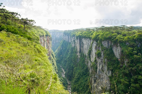 Beautiful landscape of Itaimbezinho Canyon and green rainforest, Cambara do Sul, Rio Grande do Sul, Brazil, South America