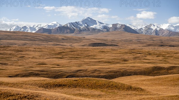 Glaciated and snow-capped mountains, autumnal mountain landscape with yellow grass, Tian Shan, Sky Mountains, Sary Jaz Valley, Kyrgyzstan, Asia
