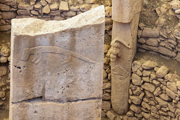 Gobekli Tepe neolithic archaeological site dating from 10 millennium BC, Massive stone pillars with sculptural relief of wild animals, Potbelly Hill, Sanliurfa, Turkey, Asia