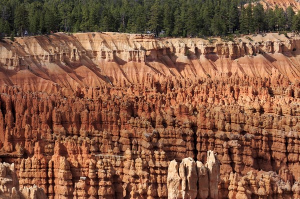 Red rock formations and rock pillars under a clear blue sky, Bryce Canyon National Park, North America, USA, South-West, Utah, North America
