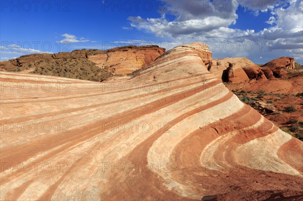 Picture shows an impressive desert landscape with undulating red rocks under a blue sky, Valley of Fire, Moapa Valley, Fire Wave, North America, USA, South-West, Nevada, North America
