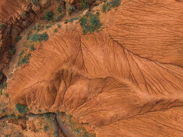 Top Down View, Badlands, river in a gorge with eroded red sandstone rocks, Konorchek Canyon, Boom Gorge, aerial view, Kyrgyzstan, Asia