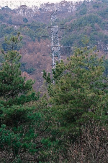 Winter landscape of electrical power line tower surrounded by trees on side of mountain in South Korea
