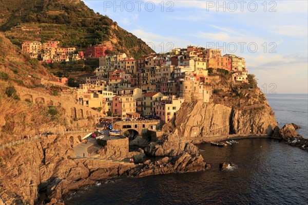 Evening light illuminates Manarola, a picturesque Italian coastal town on cliffs above the sea, Italy, Liguria, Manarola, Riomaggiore, La Spezia Province, Cinque Terre, Europe