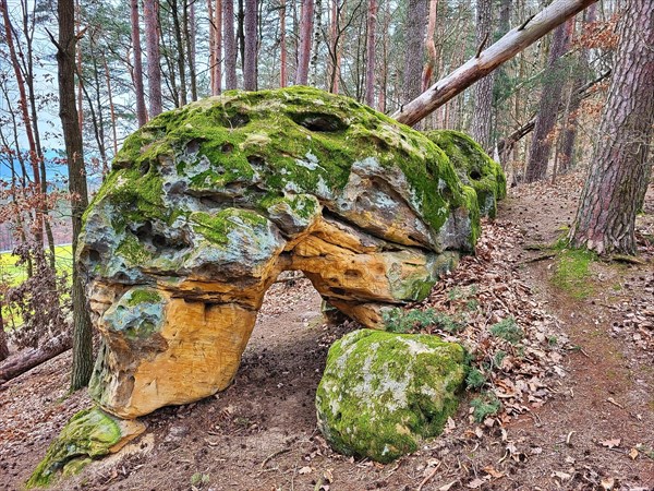 The rock castle near Burgkunstadt is a naturally formed natural stone arch. The rock formation was created by erosion, making it an impressive natural wonder. Burgkunstadt, Lichtenfels, Upper Franconia, Bavaria, Germany, Europe