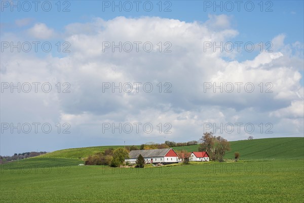 Farm under clouds and surrounded by green fields in Skurup municipality, Scania, Sweden, Scandinavia, Europe