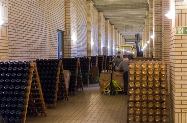 Bento Goncalves, Rio Grande do Sul, Brazil, April 07, 2021: Production of sparkling wines (champagne) by the champenoise method, South America