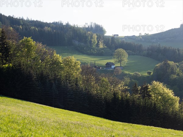 Farmhouse, meadows and forest, Leoben, Styria, Austria, Europe