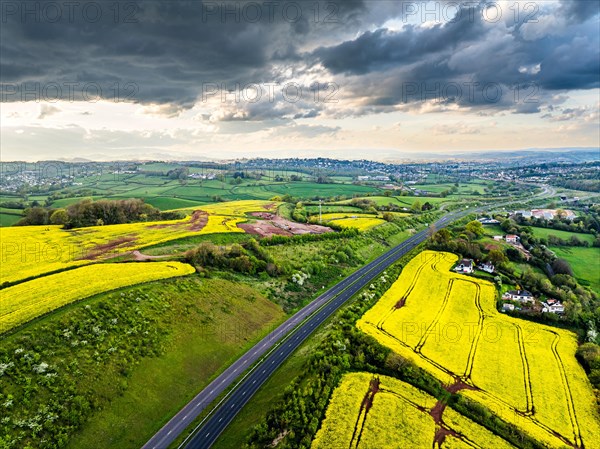 Rapeseed fields and farms from a drone, Torquay, Devon, England, United Kingdom, Europe