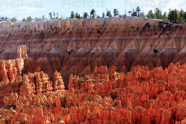 Sweeping views of deep canyons and vermilion rock needles, Bryce Canyon National Park, North America, USA, South-West, Utah, North America