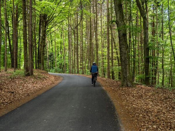 Cyclist, forest near Riegersburg, Styrian volcanic region, Styria, Austria, Europe