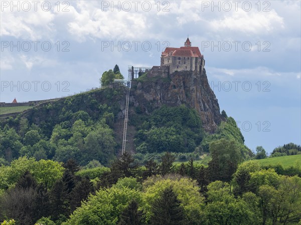Forest edge, Riegersburg Castle in the background, Styrian volcanic country near Riegersburg, Styria, Austria, Europe