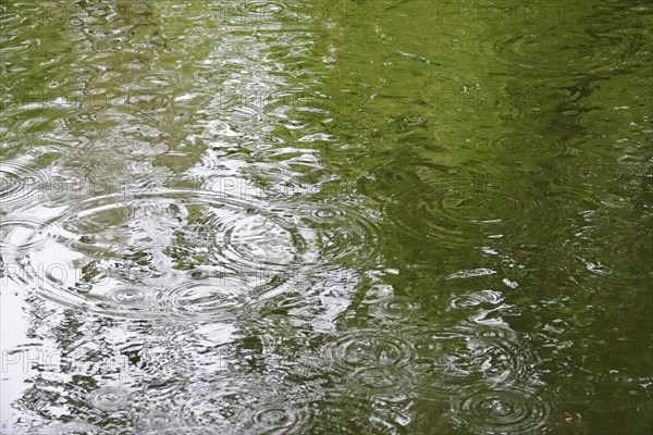 Rain falling on a lake, April weather, Germany, Europe