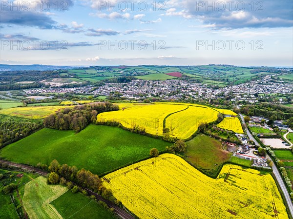 Rapeseed fields and farms from a drone, Torquay, Devon, England, United Kingdom, Europe