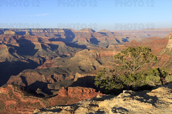 Grand Canyon National Park, South Rim, North America, USA, South-West, Arizona, North America