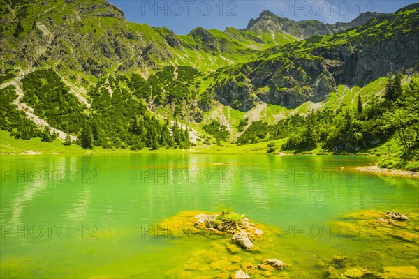 Lower Gaisalpsee, behind it the Nebelhorn, 2224m, Allgaeu Alps, Allgaeu, Bavaria, Germany, Europe