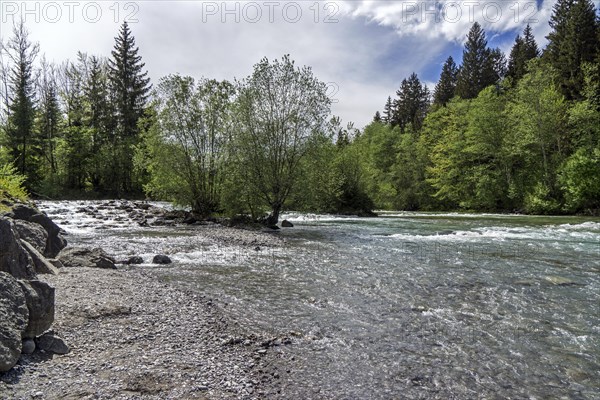 Illersprung, confluence of the Trettach, Breitach and Stillach rivers, between Oberstdorf and Fish, Oberallgaeu, Allgaeu, Bavaria, Germany, Europe