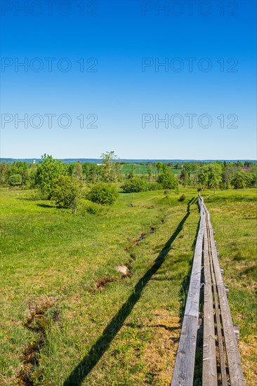 Walking path in wood on a wet meadow in a nature reserve with a beautiful landscape view, Skogastorp nature reserv, Falkoeping, Sweden, Europe