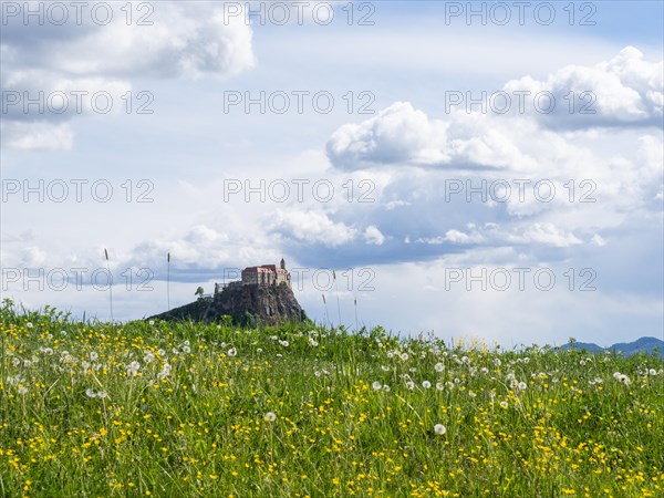 Flower meadow, behind Riegersburg, Styrian volcanic region, Styria, Austria, Europe