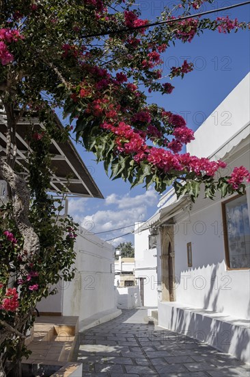 Old town alley in Lindos, Rhodes, Dodecanese archipelago, Greek islands, Greece, Europe