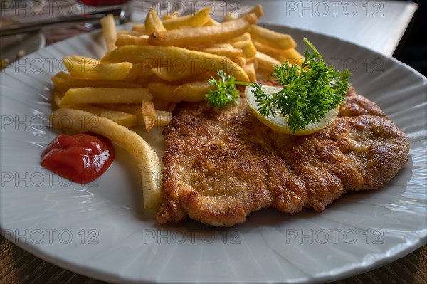 Wiener Schnitzel with French fries served in a pub, Franconia, Bavaria, Germany, Europe