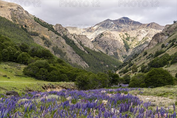 Mountain range along the Rio Blanco, Carretera Austral, Aysen, Chile, South America