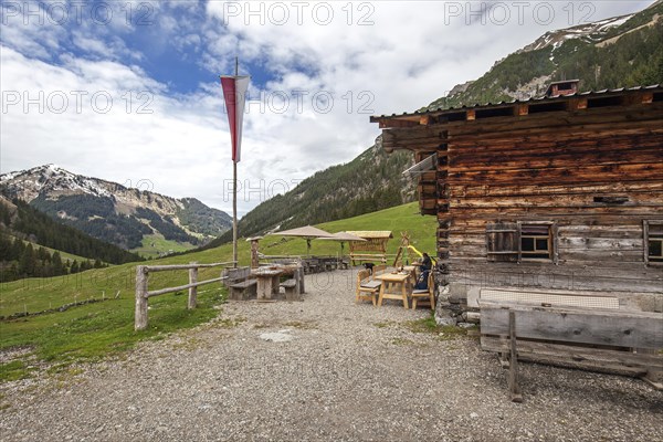 Naturalpe Gemstel-Schoenesboden-Alpe, behind Walmendinger Horn, Gemsteltal, Mittelberg, Kleinwalsertal, Vorarlberg, Allgaeu Alps, Austria, Europe