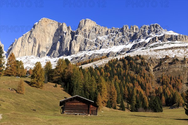 Log cabin in a meadow in front of snow-covered mountain peaks in autumn, Italy, Alto Adige, Bolzano province, Dolomites, rose garden, Europe