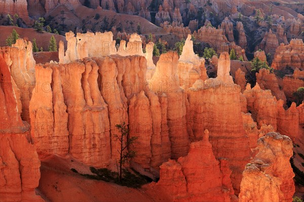 Orange rock formations form a vast landscape under the twilight sky, Bryce Canyon National Park, North America, USA, South-West, Utah, North America