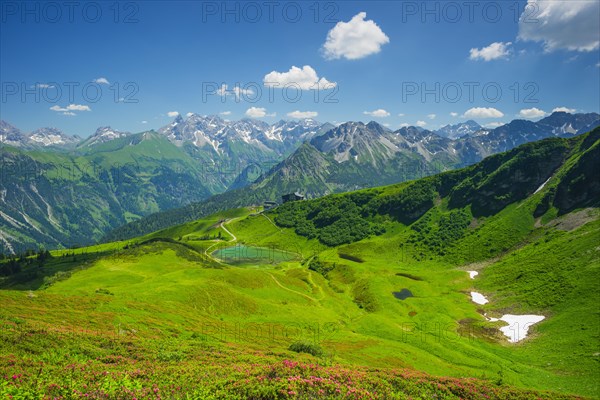 Alpine rose blossom, panorama from the Fellhorn over the Schlappoldsee and mountain station Fellhornbahn to the central main ridge of the Allgaeu Alps, Allgaeu, Bavaria, Germanypa