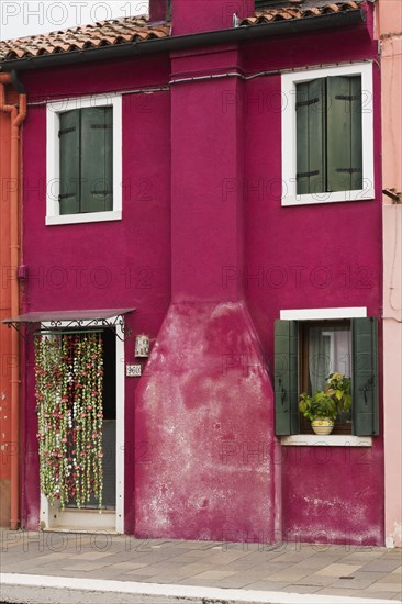 Purple stucco house facade decorated with flowepot in window and curtain over entrance door, Burano Island, Venetian Lagoon, Venice, Veneto, Italy, Europe