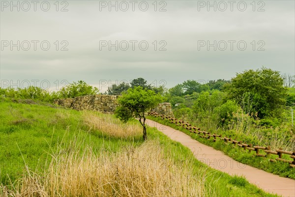 Small tree next to walking path leading to remains of stone fortress in Suncheon, South Korea, Asia