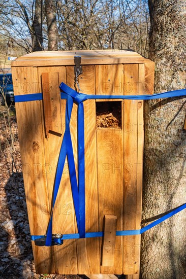 Nature conservation with a wooden box as an insect hotel to help beetles hanging on a tree trunk